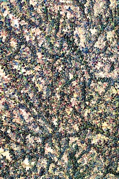 N 194B